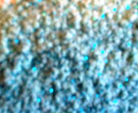 Baby Blue/Teal Blue Flitter