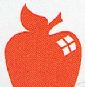 Orange Adhesive/Acrylic Paint 2 ounce